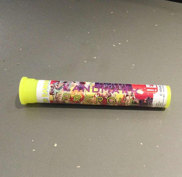 Frozen Bananas Landmark Preroll 1g