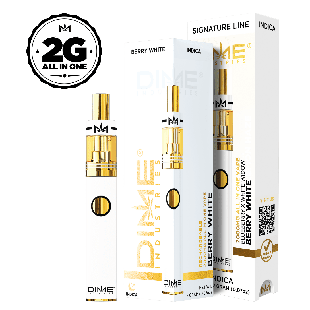 DIME BERRY WHITE DISPOSABLE 2G