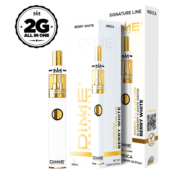 DIME BERRY WHITE DISPOSABLE 2G