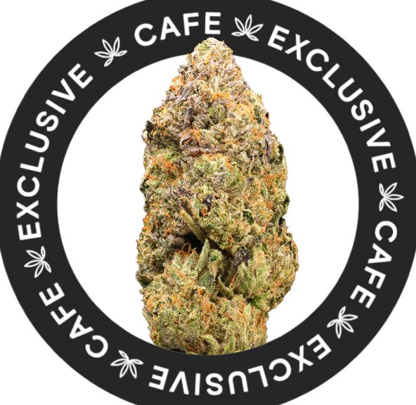 7G CAFE EXCLUSIVES- PINK VORTEX