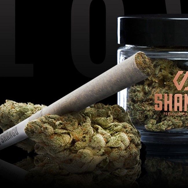 101p. Tahoe OG 1g -Shango PreRoll