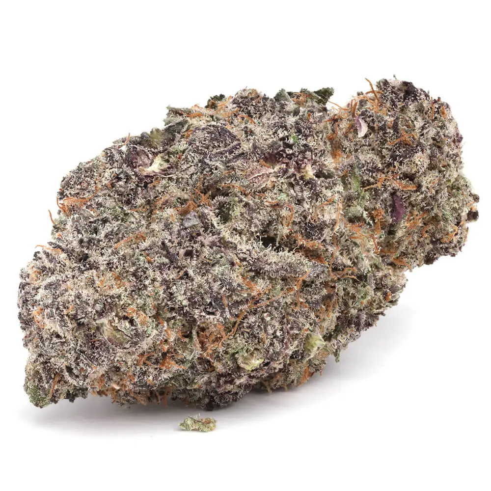 Pink Lucky