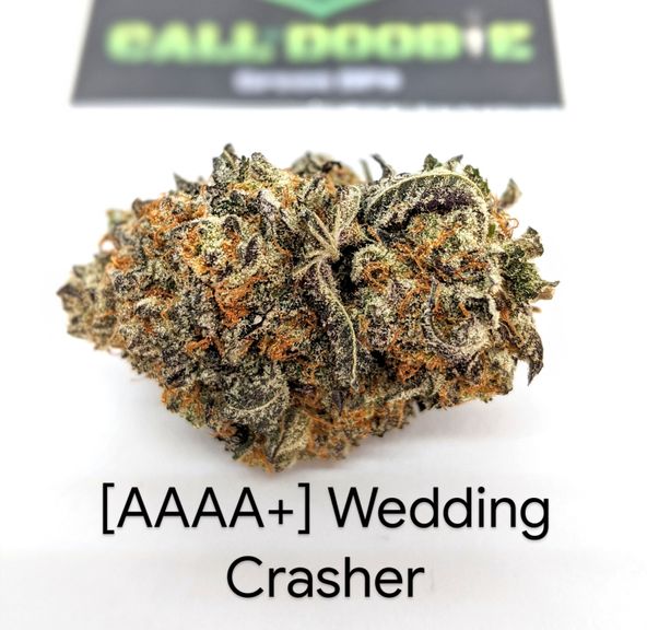 [AAAA+] Wedding Crasher