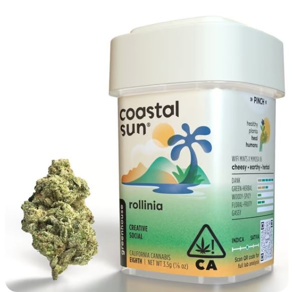 Coastal Sun - Rollinia 3.5g