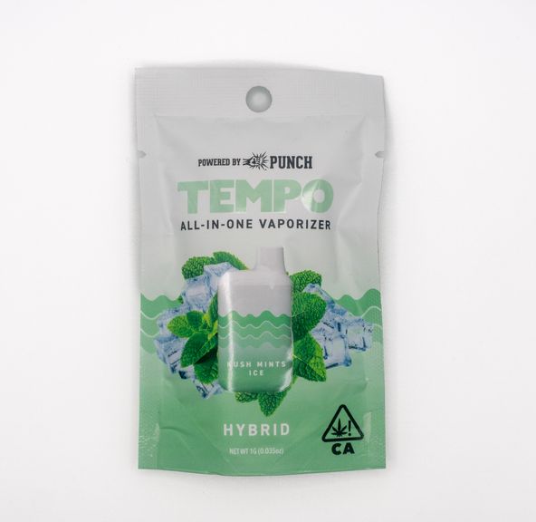 Tempo - All in one Vape - Kush Mints Ice