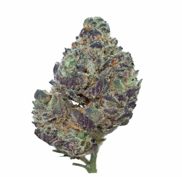 Amnesia Haze