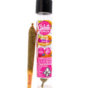 Gelato Infused Pre-roll Creme Brulee 1.2g