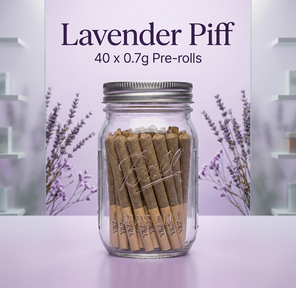 0.7g Pre-Roll - Lavender Piff (S) 40 Pack Jar