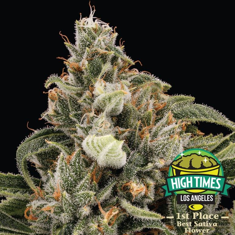 Cannabiotix | Strawberry Lemonade 29.87% THC 3.5g