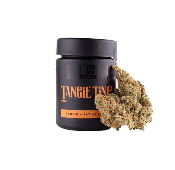 BLEM- 3.5 TANGIE TING