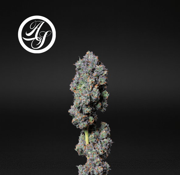Alt Sol | Fuel Biscuits - Flower | 3.5g | Indica-Hybrid