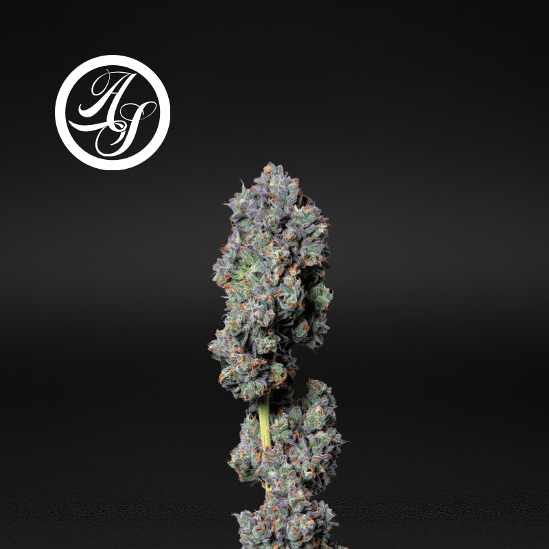 Alt Sol | Fuel Biscuits - Flower | 3.5g | Indica-Hybrid