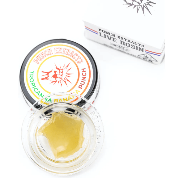 Punch Extracts - Live Rosin - Tropicanna Banana (1g)