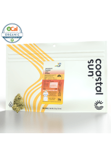 Coastal Sun - Papaya Bomb 28g