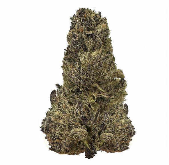 Honey Pavé - AAAA - 3.5g Package