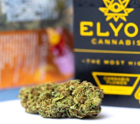 Jet Fuel Gelato- 3.5g (26.09% THC) Elyon