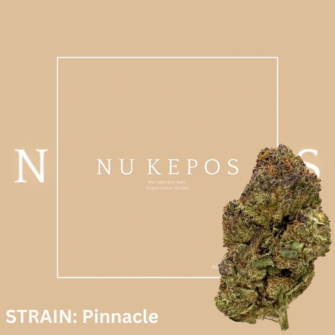 Kepos - Pinnacle 28G - PREMIUM FLOWERS
