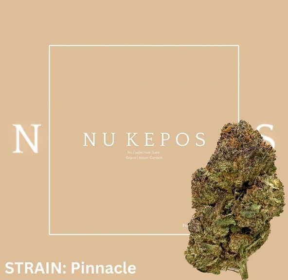 Kepos - Pinnacle 28G - PREMIUM FLOWERS