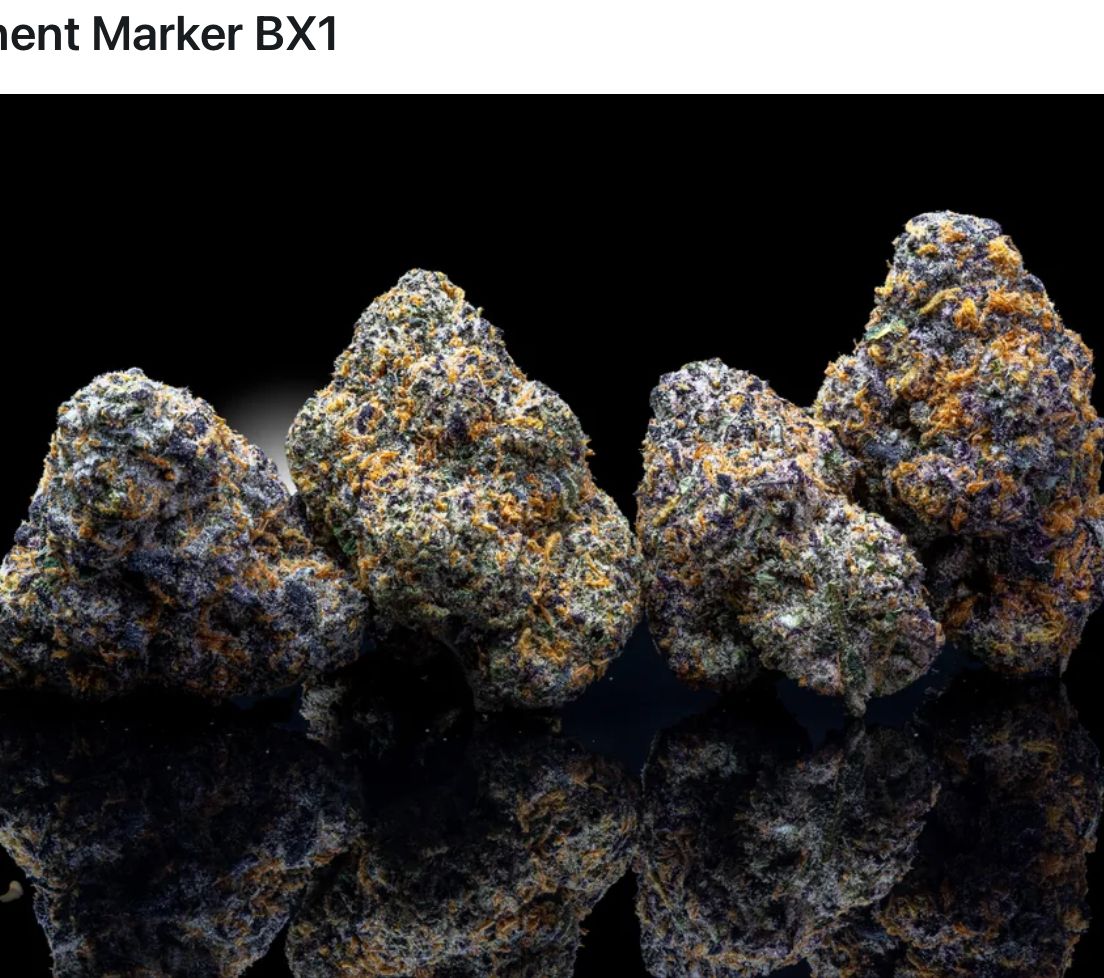 Alt Sol | Permanent Marker BX - Flower | 3.5g | Indica-Hybrid