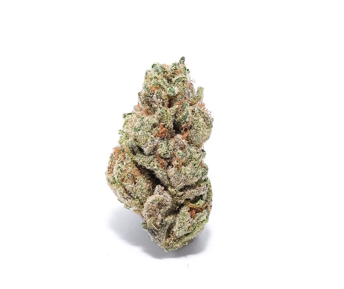1/8th - Dosidos