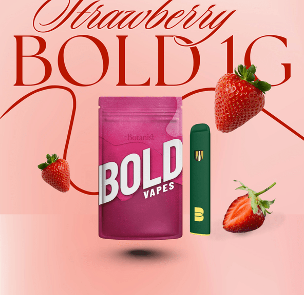 Disposable: Strawberry - BOLD - 1G