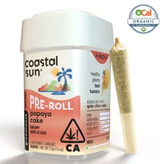 Coastal Sun - Papaya Cake 10pk Prerolls 3.5g