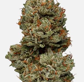 Illuminati OG (Indica) THC 33.55%