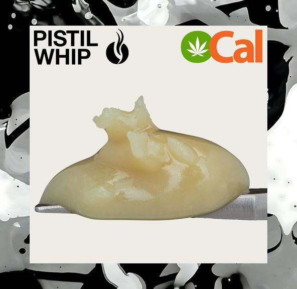 Pistil Whip - Strawbercots #1 Live Rosin Badder 1g