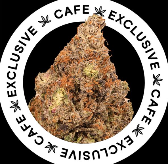 7G CAFE EXCLUSIVES- PINK PATRON