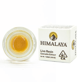 Himalaya Sauce Gelato #41 1g