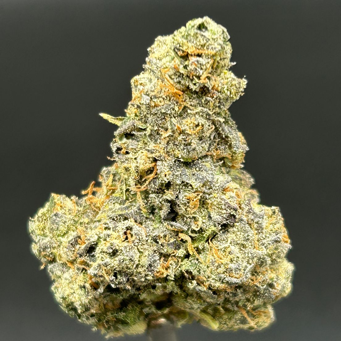 Cake Z - Tier 2
