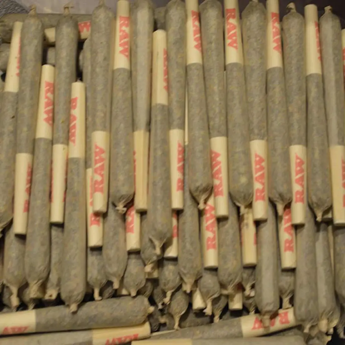 10 Prerolls Sativa