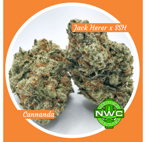 2395 - Jack Herer X Super Silver Haze Buds By: Cannananda