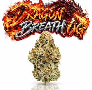 DRAGON BREATH OG - 14G | INDOOR FLOWER