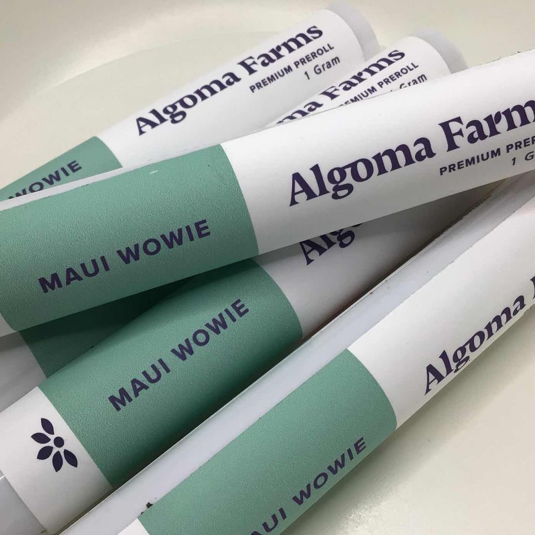 Maui Wowie Preroll by Algoma Farms