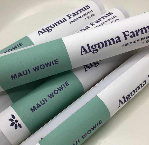 Maui Wowie Preroll by Algoma Farms