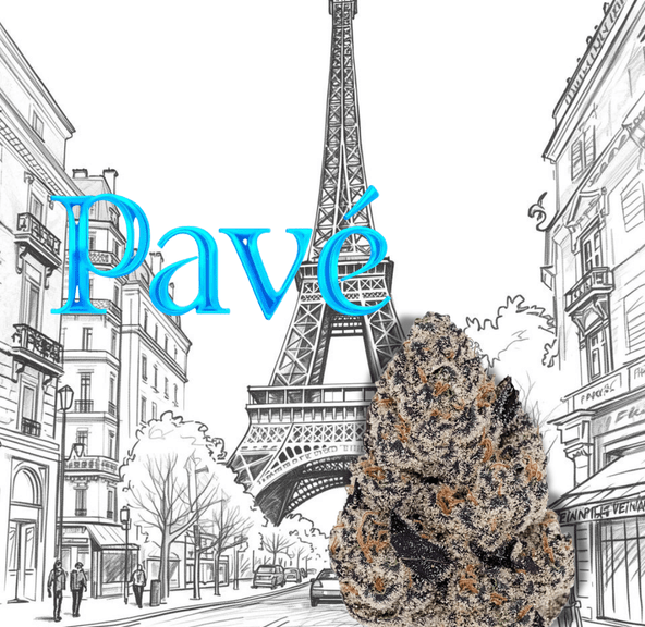 Flower: Pave - Kynd - 3.5G