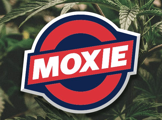 *P.A.D* MOXIE- Glucifer - Live Resin Badder - 1$
