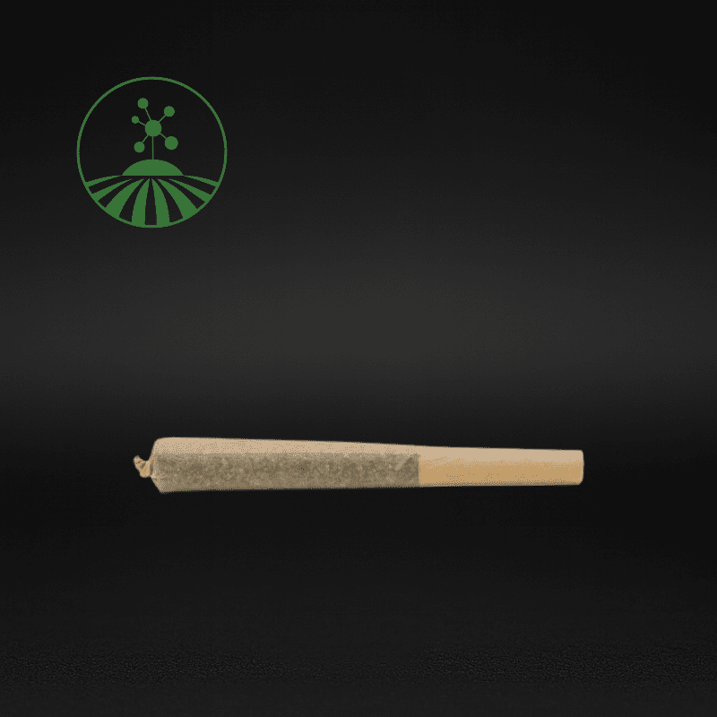 Molecular Farms | Honey Banana | .7g Pre-Roll | Hybrid