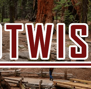 VALLEY PURE - POTWISHA -PACKAGED EIGHTH