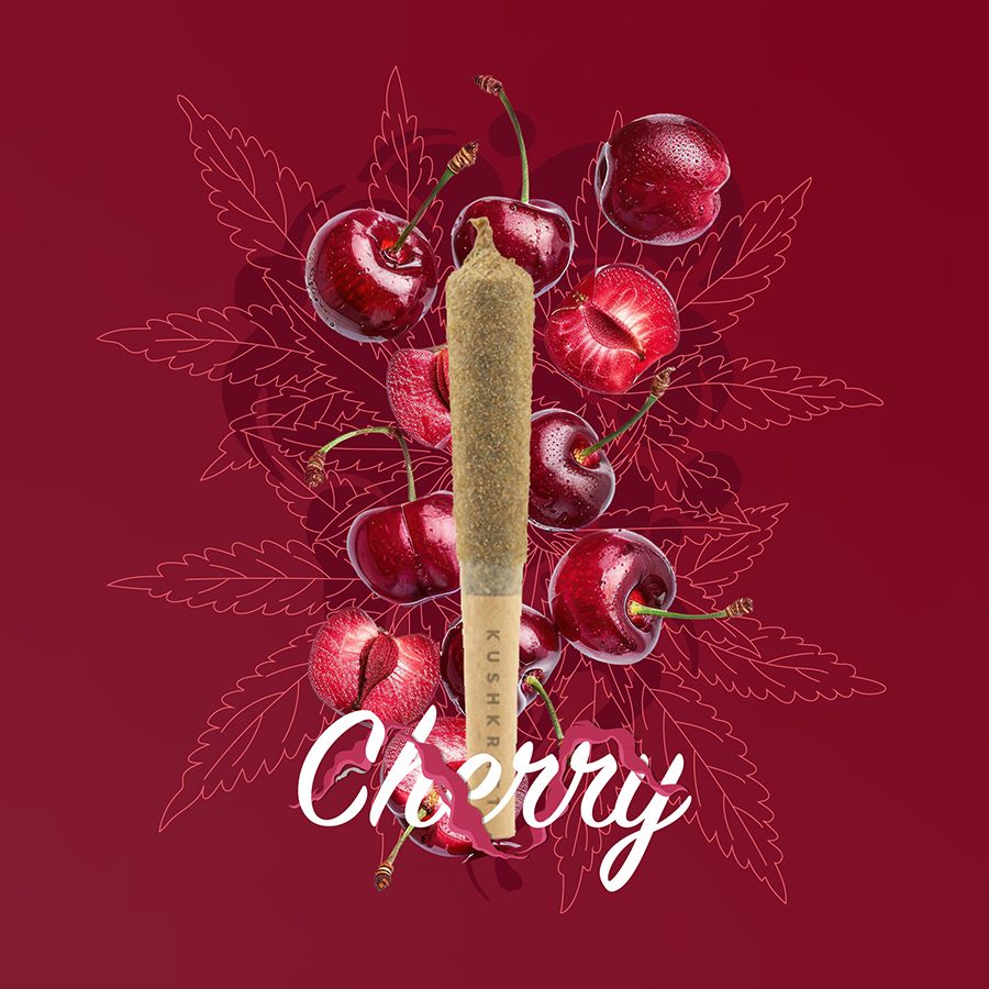 1 x 0.5g Infused Sticky Banger Pre-Roll Sativa Cherry by KushKraft