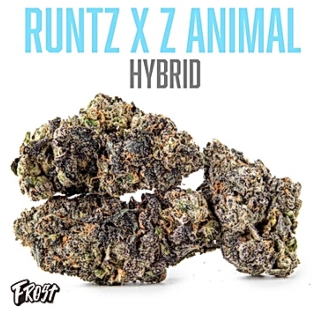 Frost - Runtz X Animal (36% THC Hybrid) 3.5000g