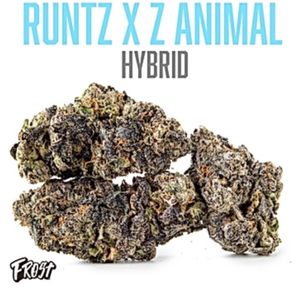 Frost - Runtz X Animal (36% THC Hybrid) 3.5000g