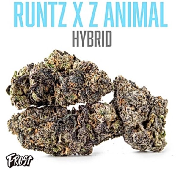 Frost - Runtz X Animal (36% THC Hybrid) 3.5000g