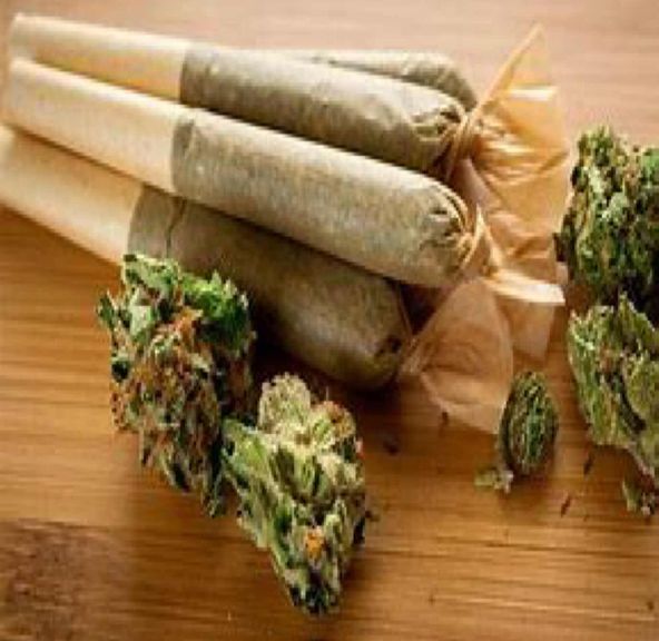 Snare Creek Farms - 1 G Prerolls - Assorted