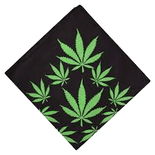 Bandanna