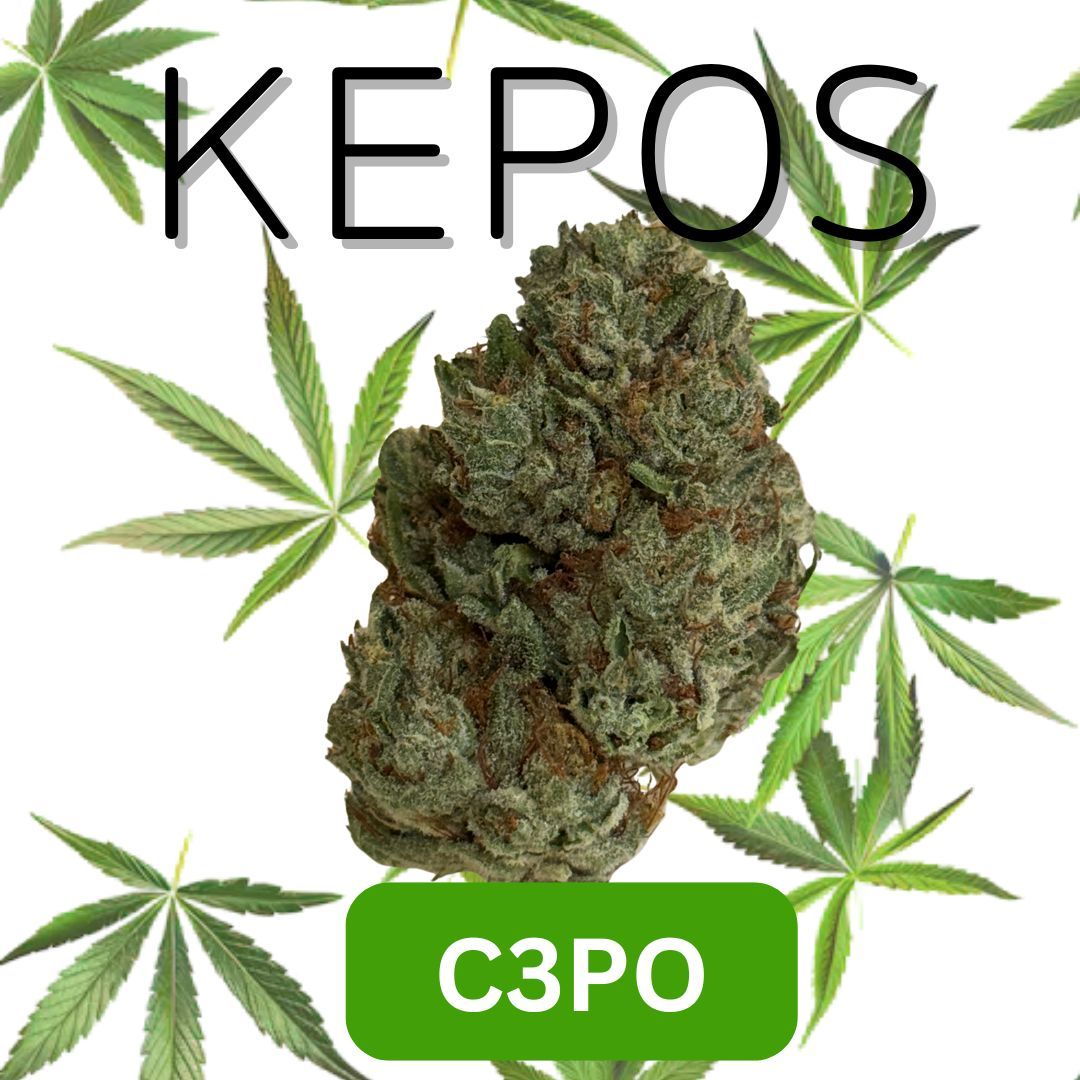 Kepos - CP30 3.5g - Premium Flower