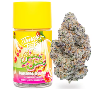 Banana Guava - Flower