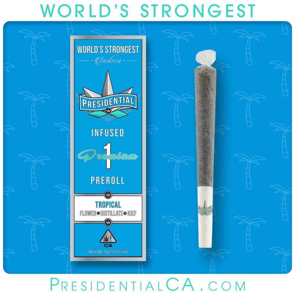 [Presidential] Infused Preroll - 1g - Tropical (I)