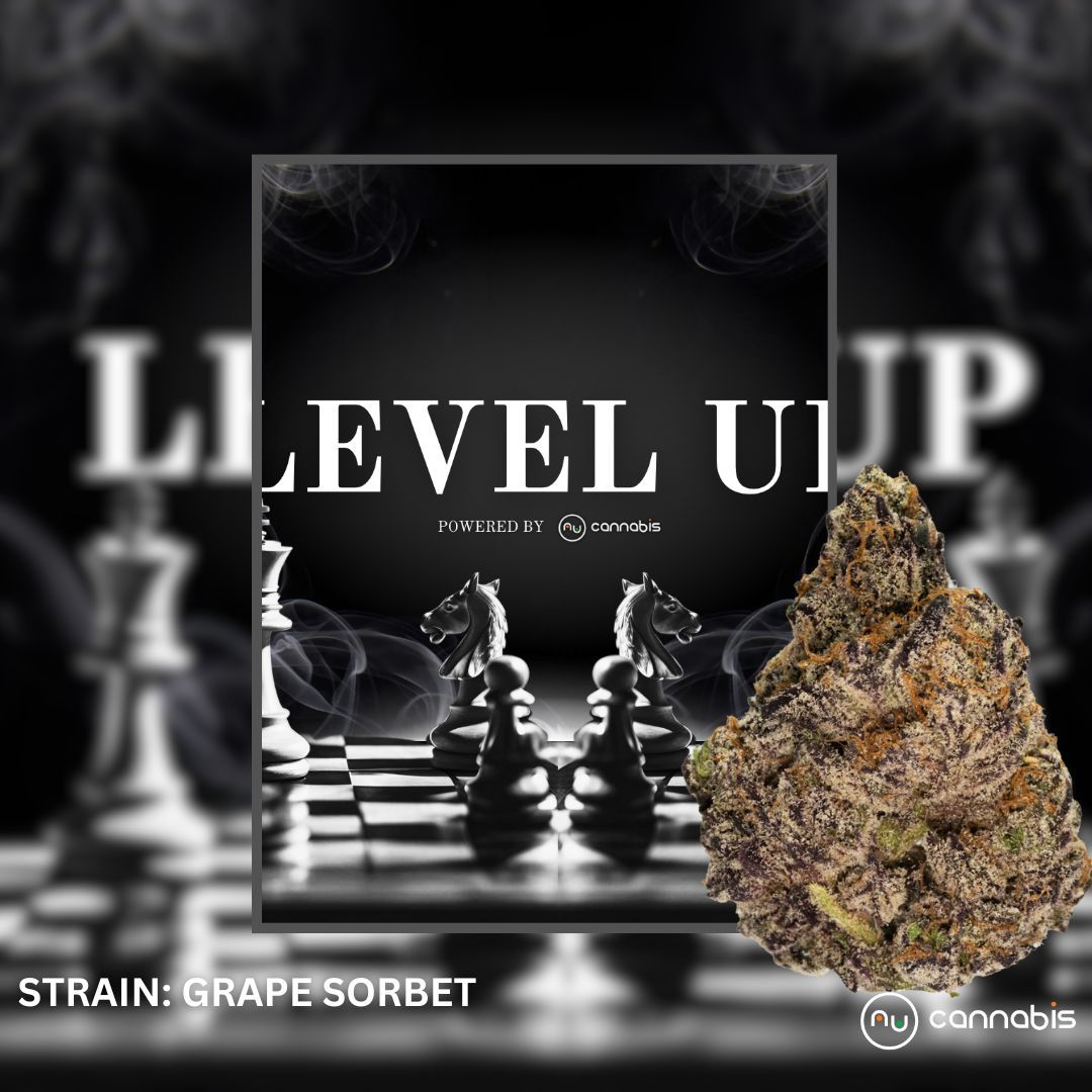 Level Up - Grape Sorbet 1oz - PREMIUM FLOWERS
